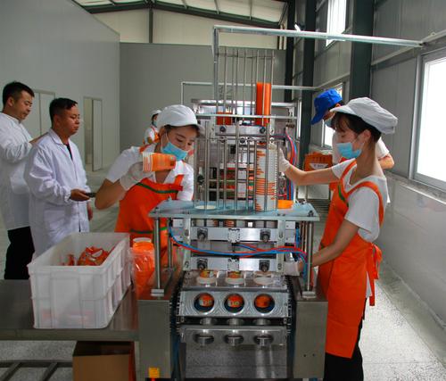 工人们正按照程序对产品分装和检查,一包包加工好的魔芋产品在流水线