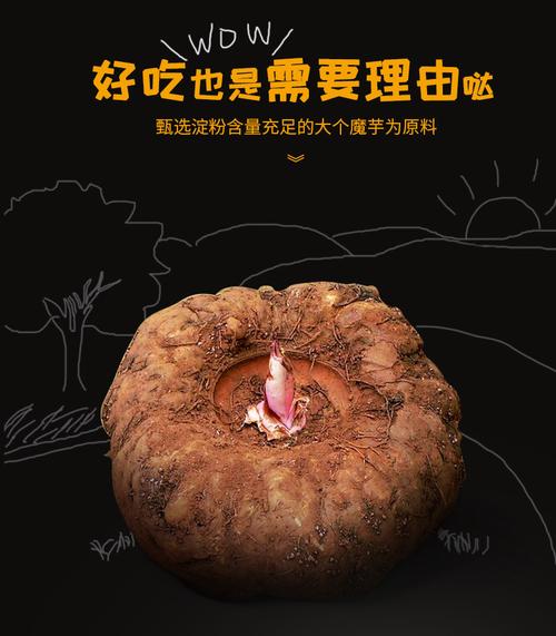 从田间到舌尖 魔芋种植与香辣凉皮零食的美味密码