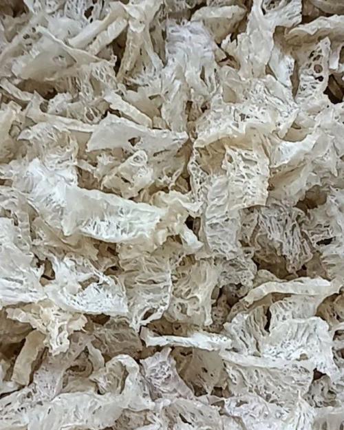 精品魔芋干厂家直销 一手货源质量保证与魔芋种植全解析